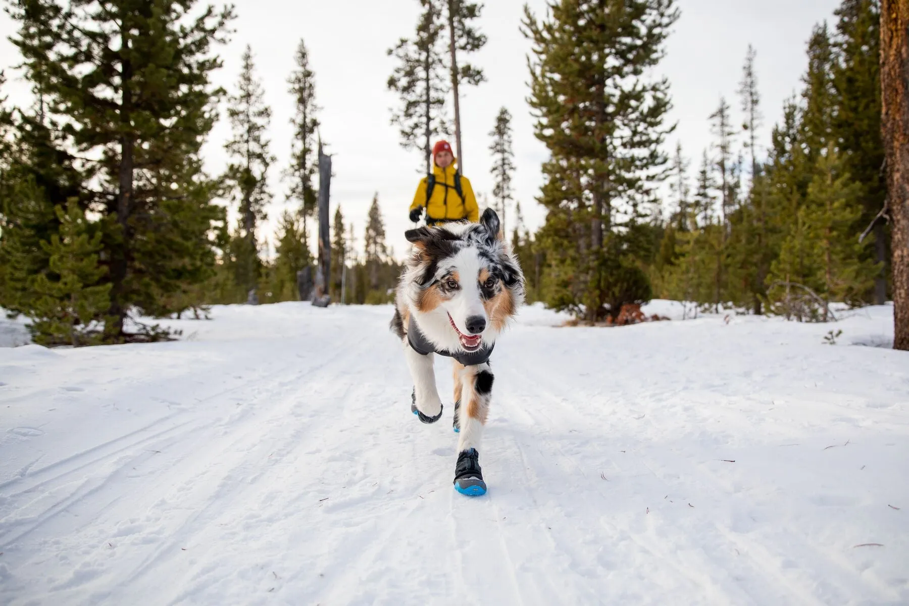 Polar Trex Boots